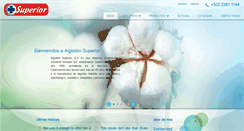 Desktop Screenshot of algodonsuperior.com